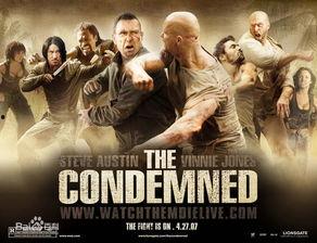 电影生死格斗在线观看,在线激战，极限对决