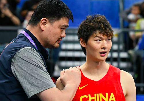 王哲林爆料视频大全集在线观看,揭秘篮球巨星背后的故事