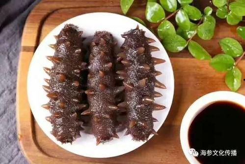 海参爆料原神视频,揭秘原神幕后制作过程与精彩瞬间